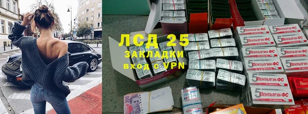 прущие грибы Пестово