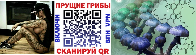 Псилоцибиновые грибы GOLDEN TEACHER  hydra маркетплейс  Оса 